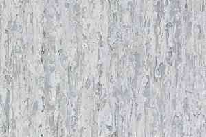 Линолеум Tarkett iq Optima White Grey 0872 фото  | FLOORDEALER